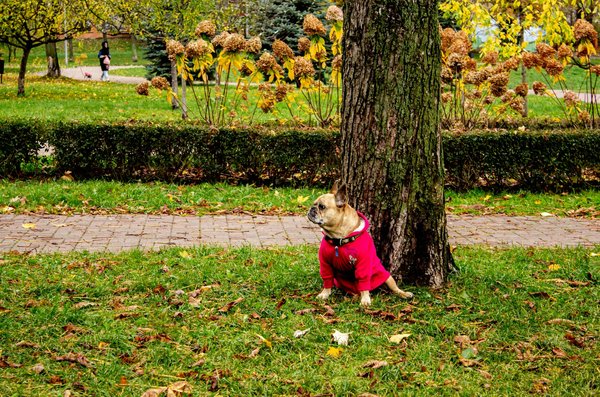 L'audioprothésiste face aux défis de la modernité